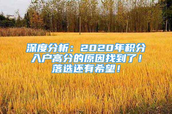 深度分析：2020年積分入戶高分的原因找到了！落選還有希望！