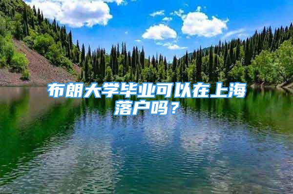 布朗大學(xué)畢業(yè)可以在上海落戶嗎？