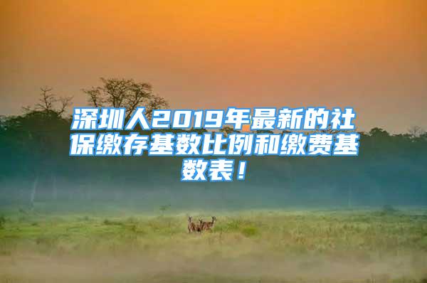 深圳人2019年最新的社保繳存基數(shù)比例和繳費基數(shù)表！