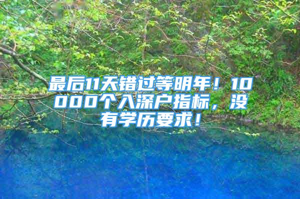 最后11天錯過等明年！10000個入深戶指標(biāo)，沒有學(xué)歷要求！