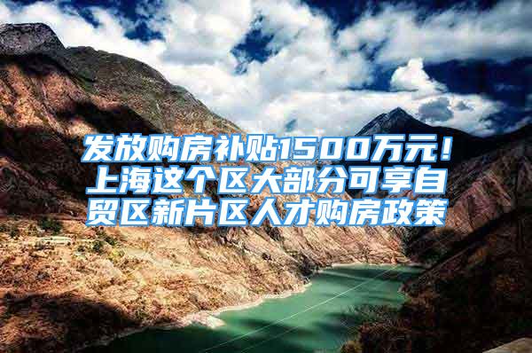 發(fā)放購房補貼1500萬元！上海這個區(qū)大部分可享自貿(mào)區(qū)新片區(qū)人才購房政策