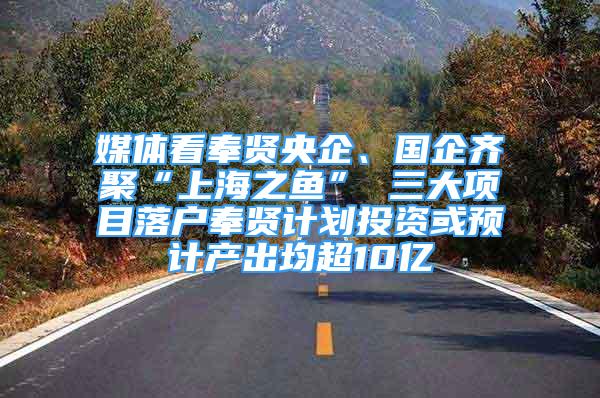 媒體看奉賢央企、國企齊聚“上海之魚” 三大項目落戶奉賢計劃投資或預計產(chǎn)出均超10億