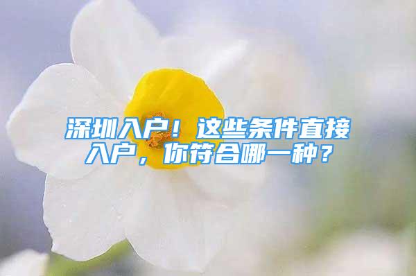 深圳入戶！這些條件直接入戶，你符合哪一種？