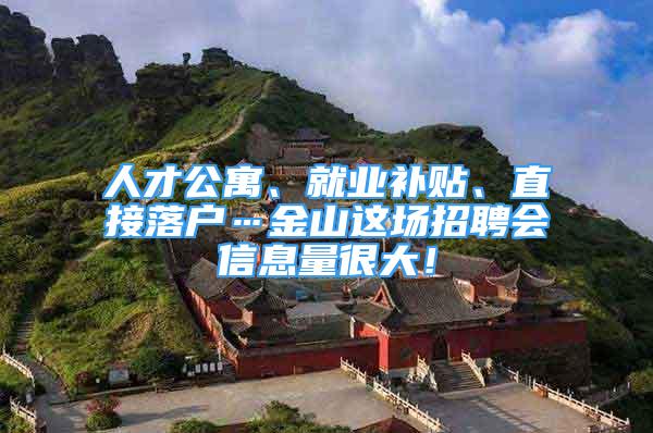 人才公寓、就業(yè)補(bǔ)貼、直接落戶…金山這場招聘會信息量很大！