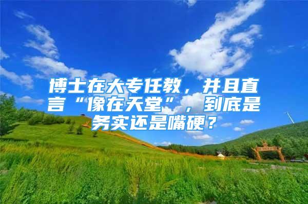 博士在大專任教，并且直言“像在天堂”，到底是務(wù)實(shí)還是嘴硬？