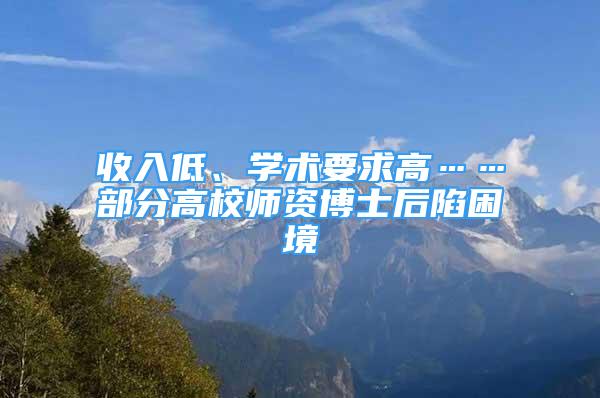 收入低、學(xué)術(shù)要求高……部分高校師資博士后陷困境