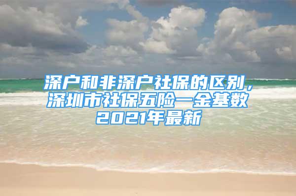 深戶和非深戶社保的區(qū)別，深圳市社保五險(xiǎn)一金基數(shù)2021年最新