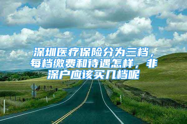 深圳醫(yī)療保險(xiǎn)分為三檔，每檔繳費(fèi)和待遇怎樣，非深戶應(yīng)該買(mǎi)幾檔呢