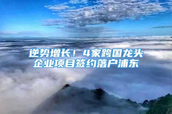 逆勢增長！4家跨國龍頭企業(yè)項目簽約落戶浦東