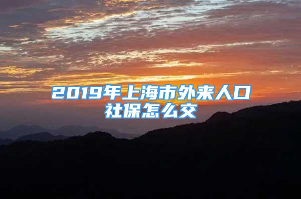 2019年上海市外來人口社保怎么交