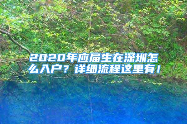 2020年應(yīng)屆生在深圳怎么入戶？詳細(xì)流程這里有！