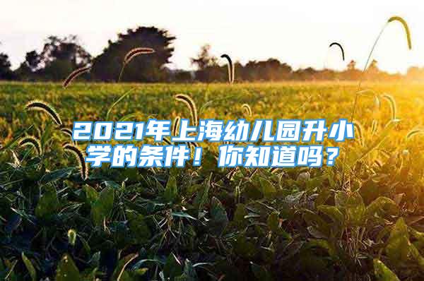 2021年上海幼兒園升小學(xué)的條件！你知道嗎？