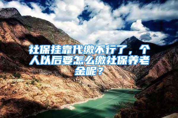 社保掛靠代繳不行了，個人以后要怎么繳社保養(yǎng)老金呢？