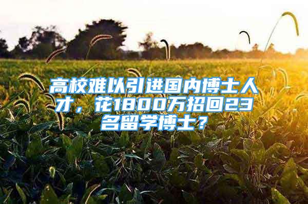 高校難以引進國內博士人才，花1800萬招回23名留學博士？