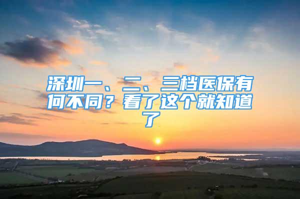 深圳一、二、三檔醫(yī)保有何不同？看了這個就知道了