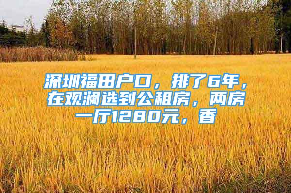 深圳福田戶口，排了6年，在觀瀾選到公租房，兩房一廳1280元，香