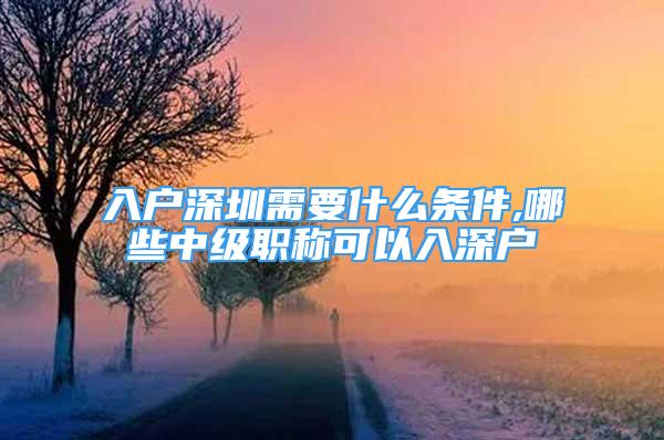 入戶深圳需要什么條件,哪些中級職稱可以入深戶