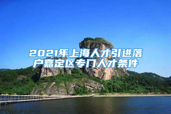 2021年上海人才引進落戶嘉定區(qū)專門人才條件