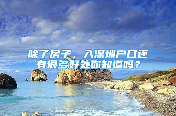 除了房子，入深圳戶口還有很多好處你知道嗎？