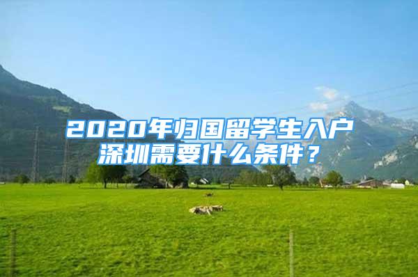 2020年歸國留學(xué)生入戶深圳需要什么條件？