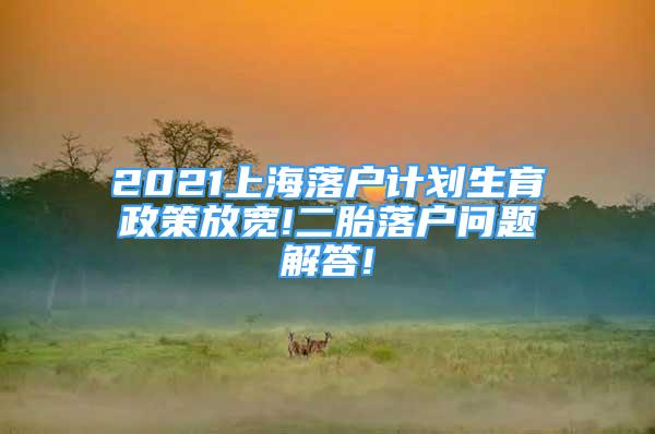 2021上海落戶計劃生育政策放寬!二胎落戶問題解答!