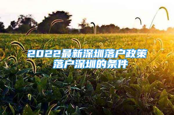 2022最新深圳落戶(hù)政策 落戶(hù)深圳的條件