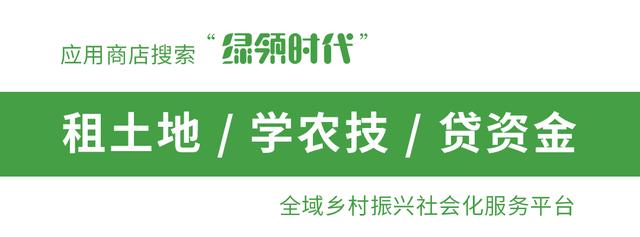 2019年停止轉(zhuǎn)戶口？想轉(zhuǎn)戶口的人怎么辦，到底怎么回事？