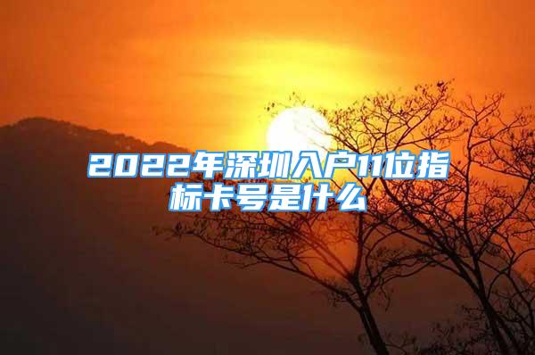 2022年深圳入戶11位指標(biāo)卡號是什么