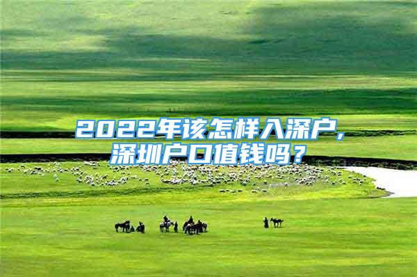 2022年該怎樣入深戶,深圳戶口值錢嗎？