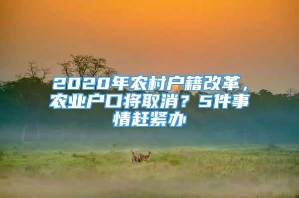 2020年農(nóng)村戶籍改革，農(nóng)業(yè)戶口將取消？5件事情趕緊辦