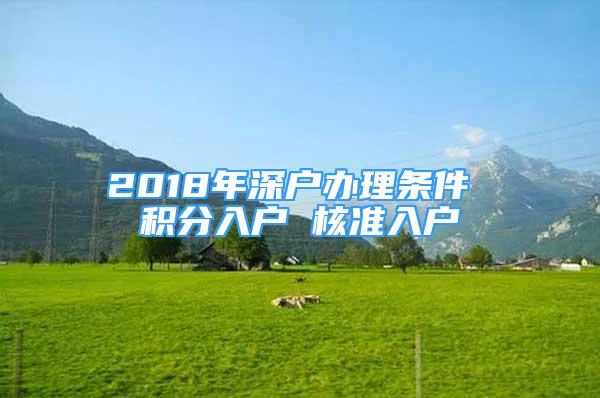 2018年深戶辦理?xiàng)l件 積分入戶 核準(zhǔn)入戶