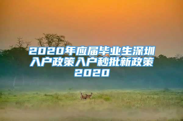 2020年應(yīng)屆畢業(yè)生深圳入戶政策入戶秒批新政策2020