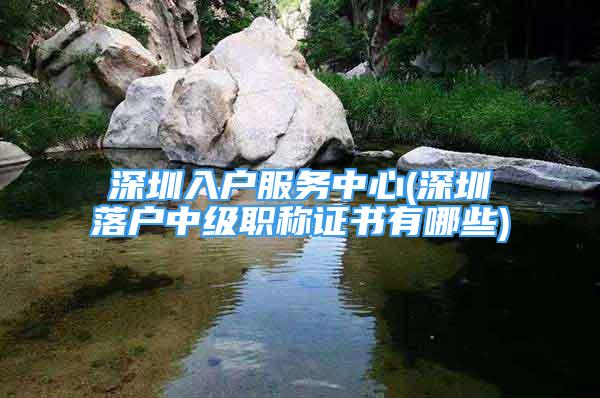 深圳入戶服務(wù)中心(深圳落戶中級(jí)職稱證書有哪些)