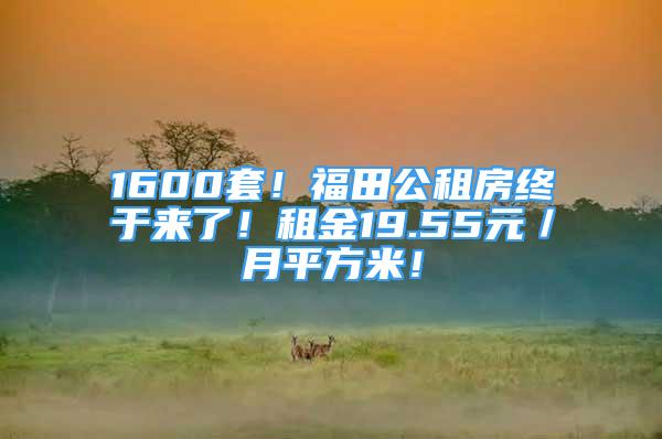 1600套！福田公租房終于來了！租金19.55元／月平方米！