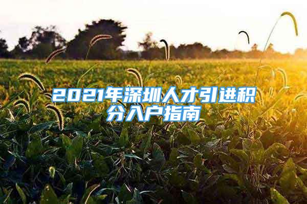 2021年深圳人才引進(jìn)積分入戶指南