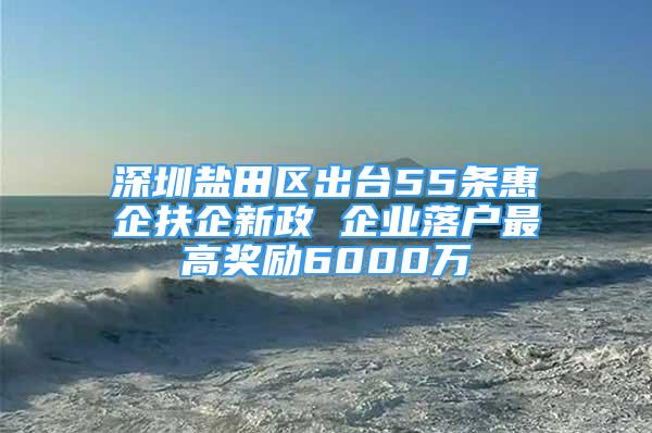 深圳鹽田區(qū)出臺(tái)55條惠企扶企新政 企業(yè)落戶最高獎(jiǎng)勵(lì)6000萬