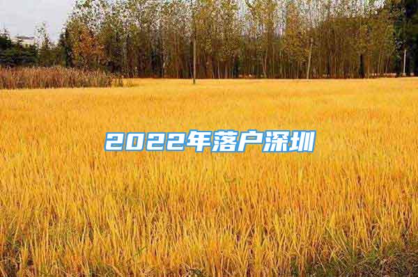 2022年落戶(hù)深圳