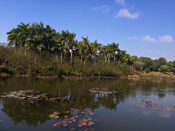 孩子戶口隨遷深圳戶口