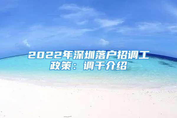 2022年深圳落戶招調(diào)工政策：調(diào)干介紹