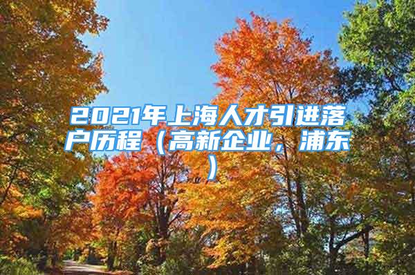 2021年上海人才引進(jìn)落戶歷程（高新企業(yè)，浦東）