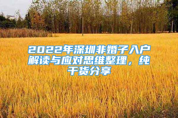 2022年深圳非婚子入戶解讀與應(yīng)對(duì)思維整理，純干貨分享