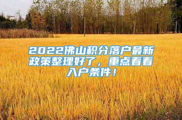 2022佛山積分落戶最新政策整理好了，重點(diǎn)看看入戶條件！