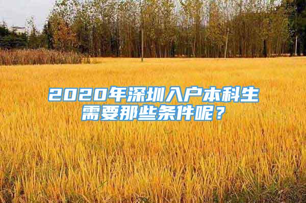 2020年深圳入戶本科生需要那些條件呢？