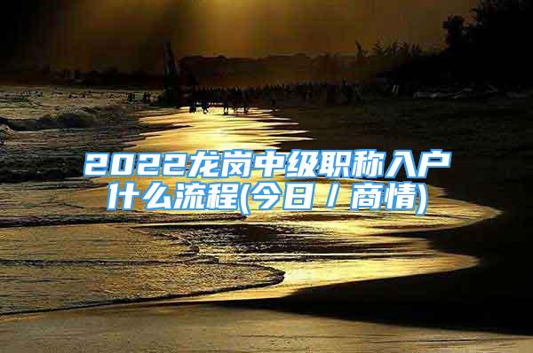 2022龍崗中級職稱入戶什么流程(今日／商情)