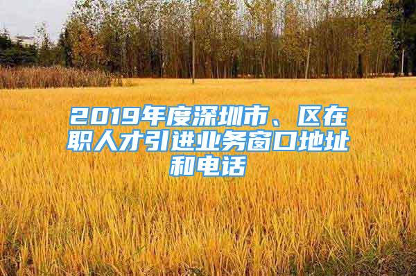 2019年度深圳市、區(qū)在職人才引進(jìn)業(yè)務(wù)窗口地址和電話