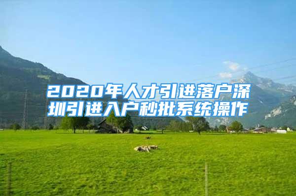 2020年人才引進落戶深圳引進入戶秒批系統(tǒng)操作