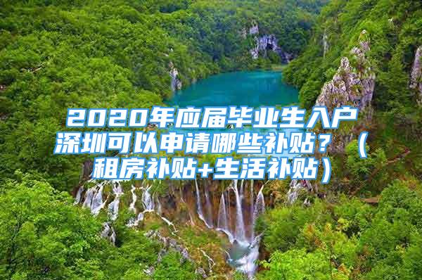 2020年應(yīng)屆畢業(yè)生入戶深圳可以申請哪些補(bǔ)貼？（租房補(bǔ)貼+生活補(bǔ)貼）