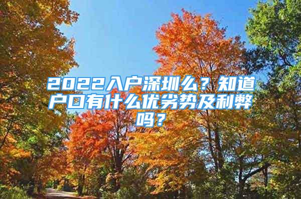 2022入戶深圳么？知道戶口有什么優(yōu)劣勢及利弊嗎？