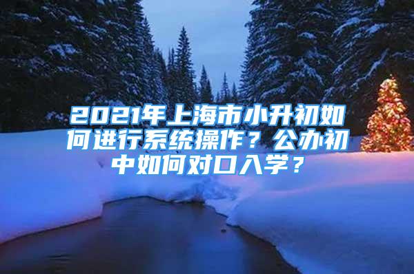 2021年上海市小升初如何進(jìn)行系統(tǒng)操作？公辦初中如何對(duì)口入學(xué)？