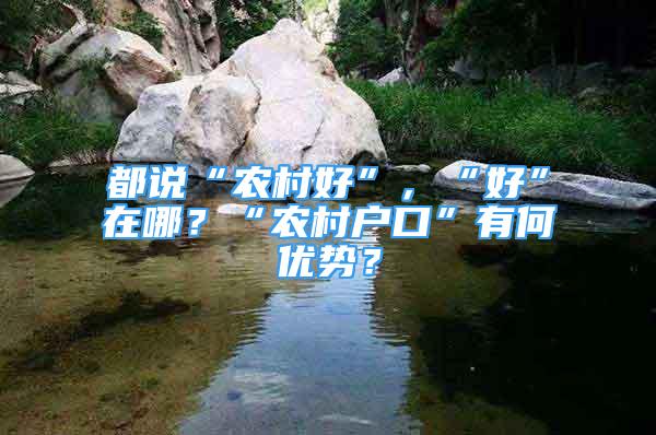 都說“農(nóng)村好”，“好”在哪？“農(nóng)村戶口”有何優(yōu)勢(shì)？